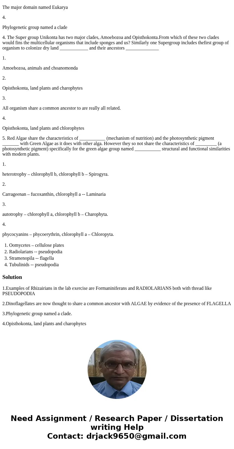 Question 1 Examples of Rhizairians in the lab exercise are Formaniniferans and ____________ both with thread like __________. Oomycetes – cellulose plates Radio Question 1 Examples of Rhizairians in the lab exercise are Formaniniferans and ____________ both with thread like __________. Oomycetes – cellulose plates Radio