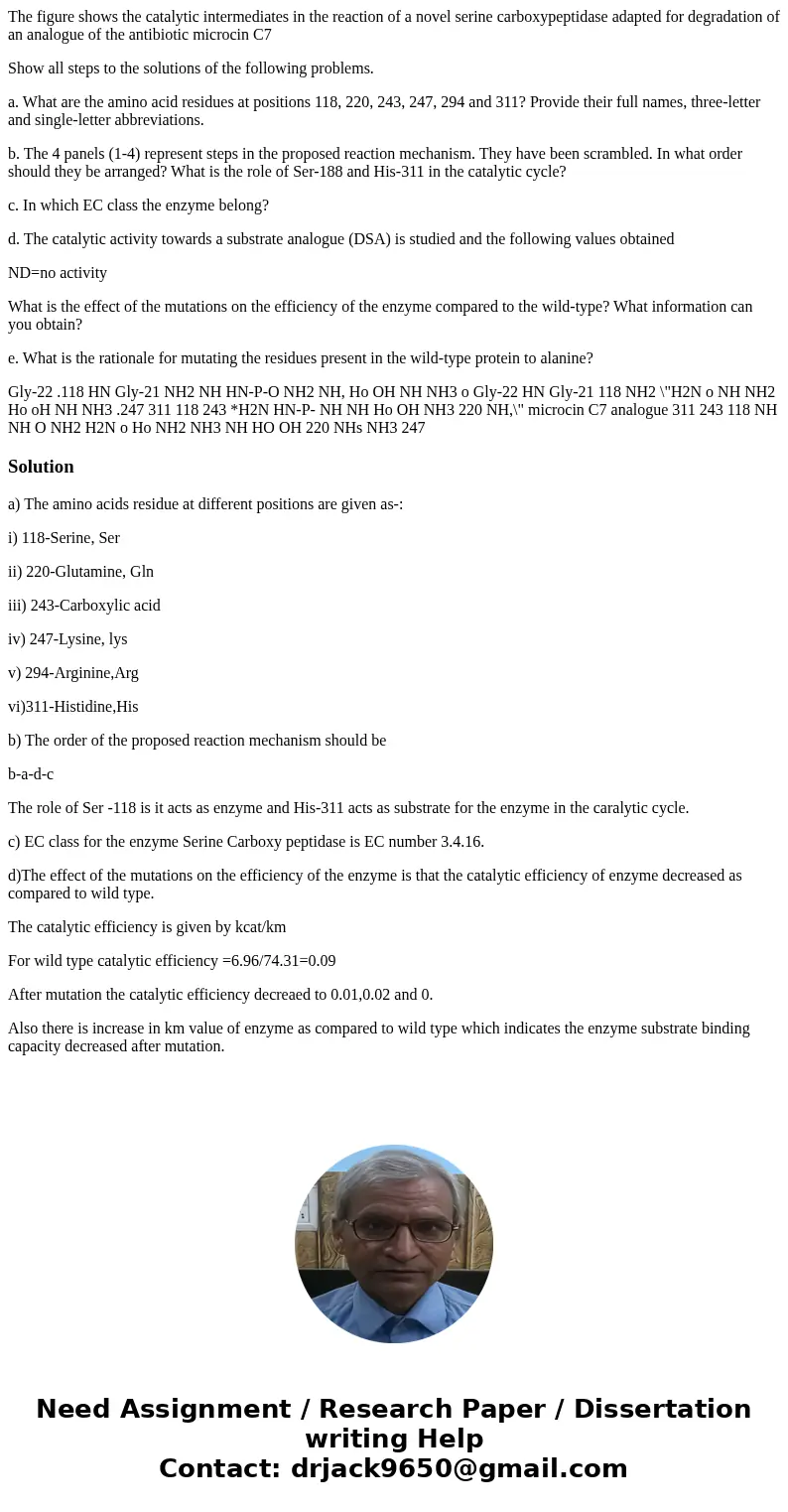 The figure shows the catalytic intermediates in the reaction of a novel serine carboxypeptidase adapted for degradation of an analogue of the antibiotic microci The figure shows the catalytic intermediates in the reaction of a novel serine carboxypeptidase adapted for degradation of an analogue of the antibiotic microci