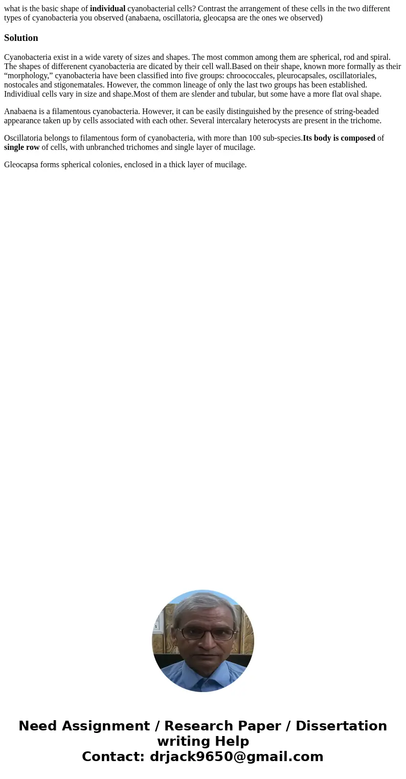 what is the basic shape of individual cyanobacterial cells? Contrast the arrangement of these cells in the two different types of cyanobacteria you observed (an what is the basic shape of individual cyanobacterial cells? Contrast the arrangement of these cells in the two different types of cyanobacteria you observed (an