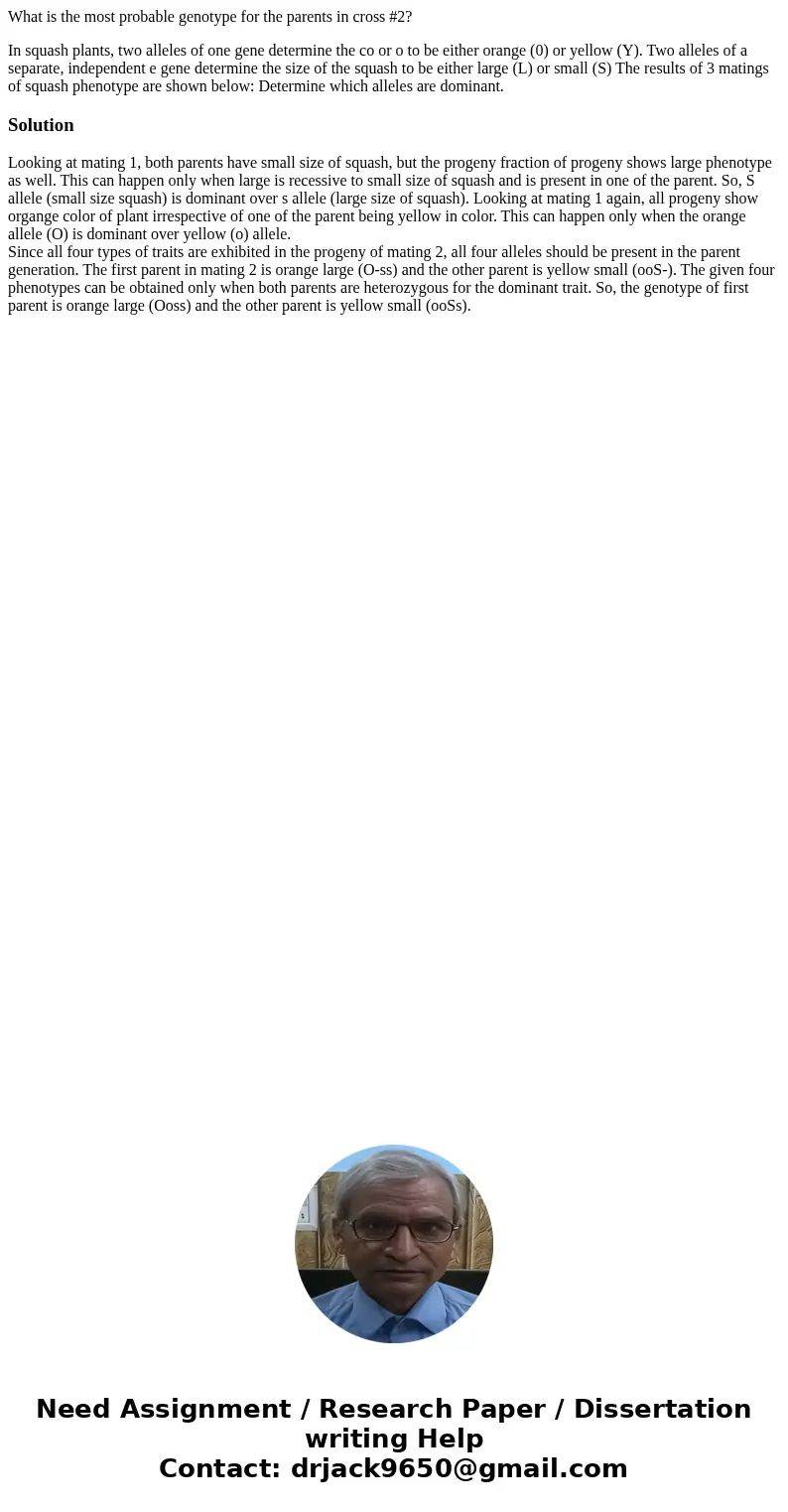 What is the most probable genotype for the parents in cross #2? In squash plants, two alleles of one gene determine the co or o to be either orange (0) or yello What is the most probable genotype for the parents in cross #2? In squash plants, two alleles of one gene determine the co or o to be either orange (0) or yello