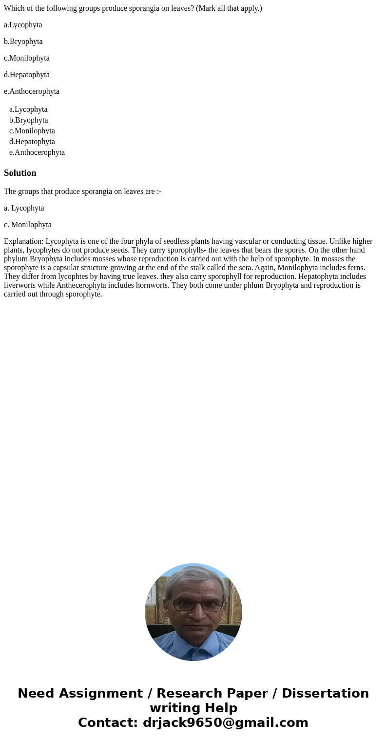 Which of the following groups produce sporangia on leaves? (Mark all that apply.) a.Lycophyta b.Bryophyta c.Monilophyta d.Hepatophyta e.Anthocerophyta a.Lycophy Which of the following groups produce sporangia on leaves? (Mark all that apply.) a.Lycophyta b.Bryophyta c.Monilophyta d.Hepatophyta e.Anthocerophyta a.Lycophy
