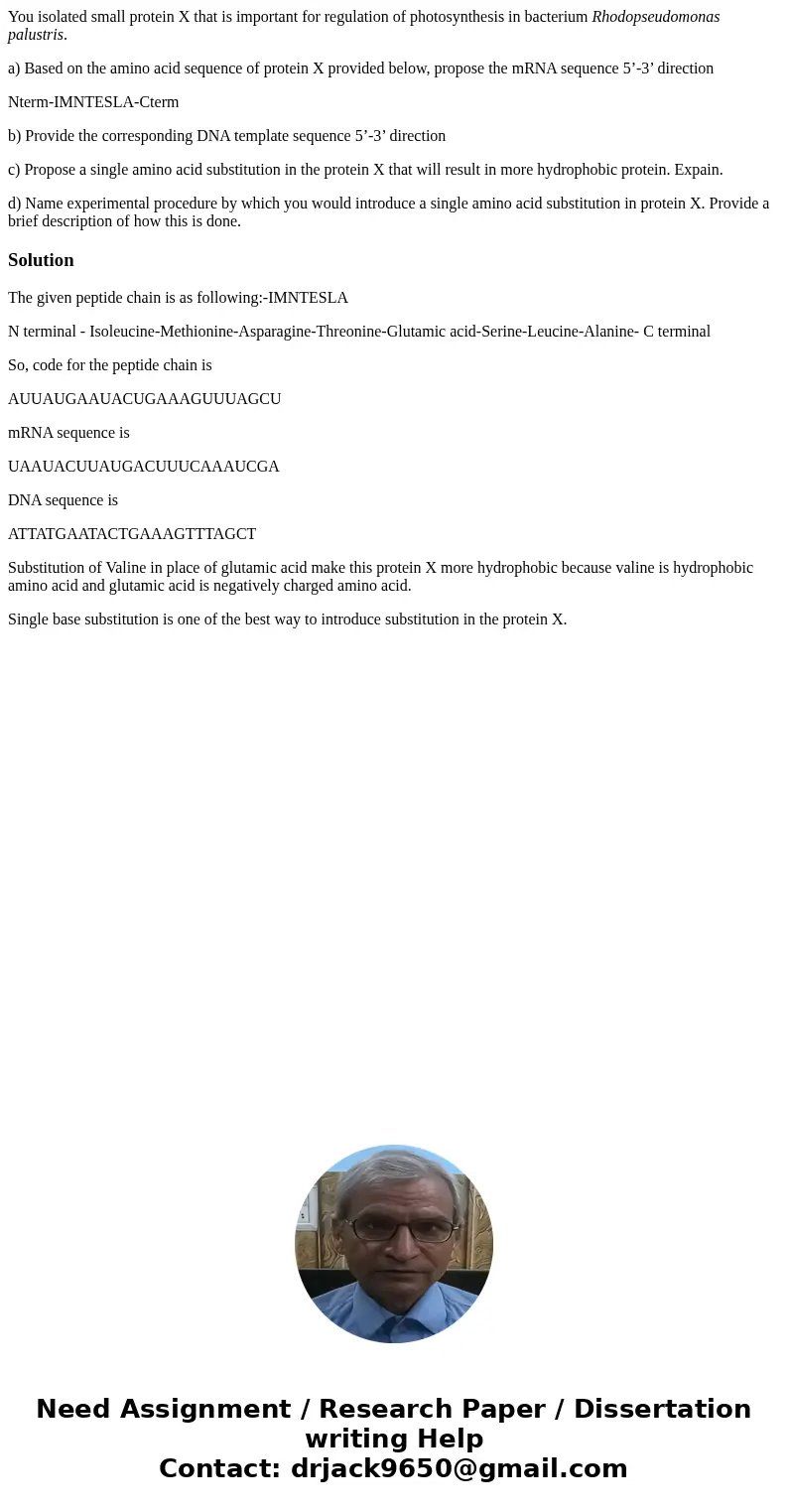 You isolated small protein X that is important for regulation of photosynthesis in bacterium Rhodopseudomonas palustris. a) Based on the amino acid sequence of  You isolated small protein X that is important for regulation of photosynthesis in bacterium Rhodopseudomonas palustris. a) Based on the amino acid sequence of